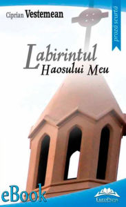 Title: Labirintul haosului meu, Author: Sangram S Sisodia