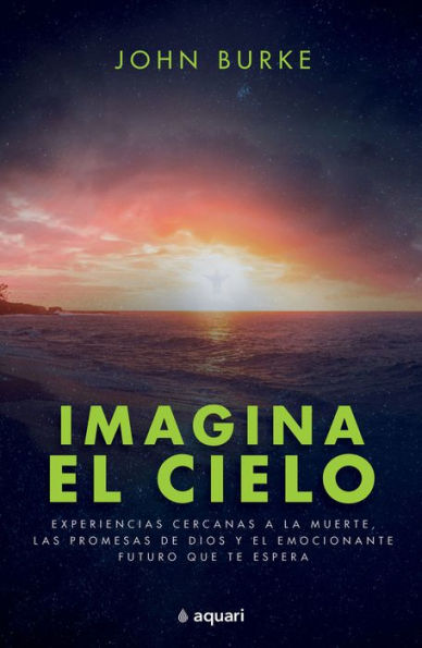 Imagina el cielo / Imagine Heaven (Spanish Edition)