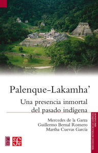 Title: Palenque-LakamhaaCache<PmdRefSourceCache>::get(const string&,, Author: Mercedes de la Garza
