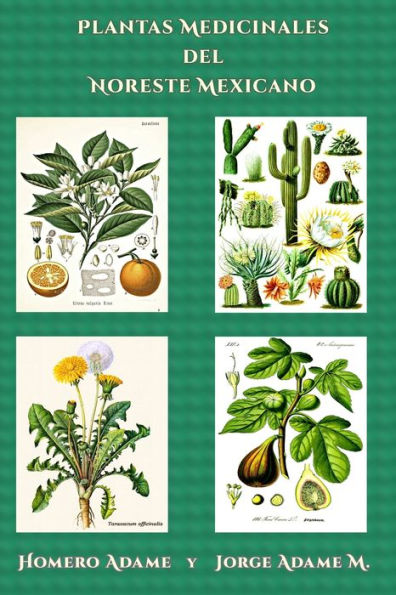 Plantas medicinales del noreste mexicano