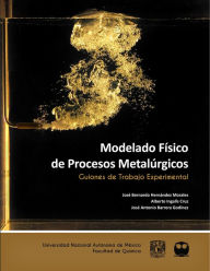 Title: Modelado Físico de Procesos Metalúrgicos. Guiones de Trabajo Experimental, Author: José Bernardo Hernández Morales