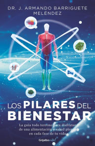 Title: Los pilares del bienestar, Author: Jorge Armando Barriguete