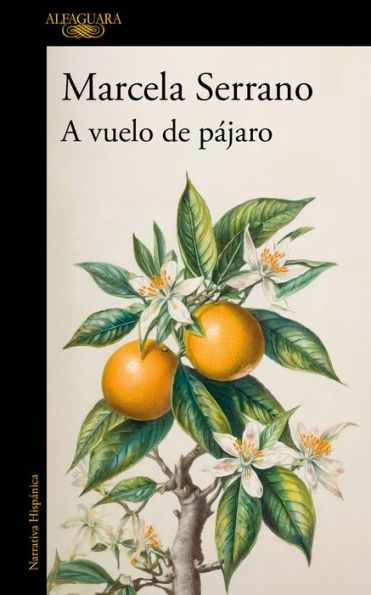 A vuelo de pájaro. Cuadernos / A Birds-Eye View
