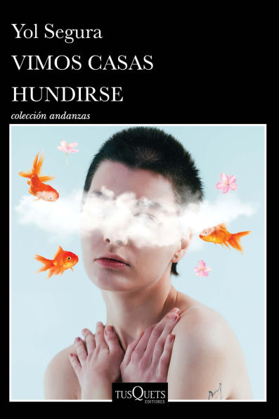 Vimos casas hundirse (Novela) / We Watched Houses Sink (A Novel)