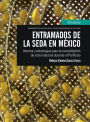 Entramados de la seda en México: Actores