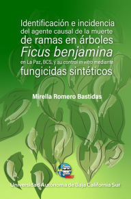 Title: Identificación e incidencia del agente causal de la muerte de ramas en árboles: Ficus benjamina en La Paz, Baja California Sur y su control in vitro mediante fungicidas sintéticos, Author: Mirella Romero Bastidas