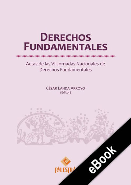 Derechos Fundamentales: Actas de las VI Jornadas Nacionales de Derechos Fundamentales