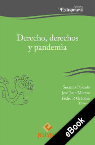 Title: Derecho, derechos y pandemia, Author: Susanna Pozzolo