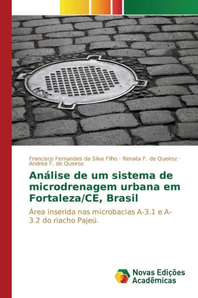 Análise de um sistema de microdrenagem urbana em Fortaleza/CE, Brasil