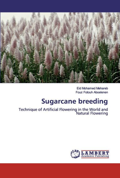 Sugarcane breeding