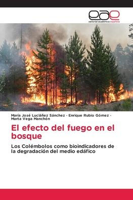 El efecto del fuego en el bosque