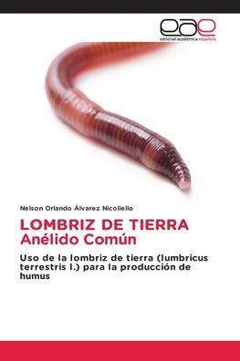 LOMBRIZ DE TIERRA Anï¿½lido Comï¿½n