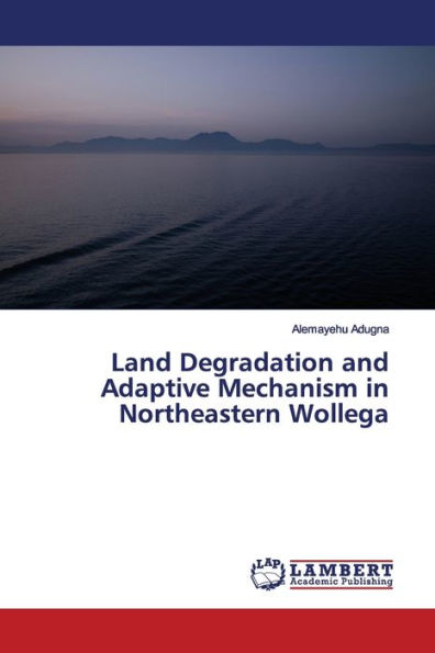 Land Degradation and Adaptive Mechanism in Northeastern Wollega