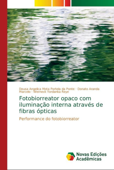 Fotobiorreator opaco com iluminação interna através de fibras ópticas