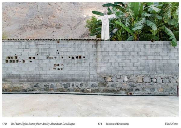 In Plain Sight: Scenes from Aridly Abundant Landscapes