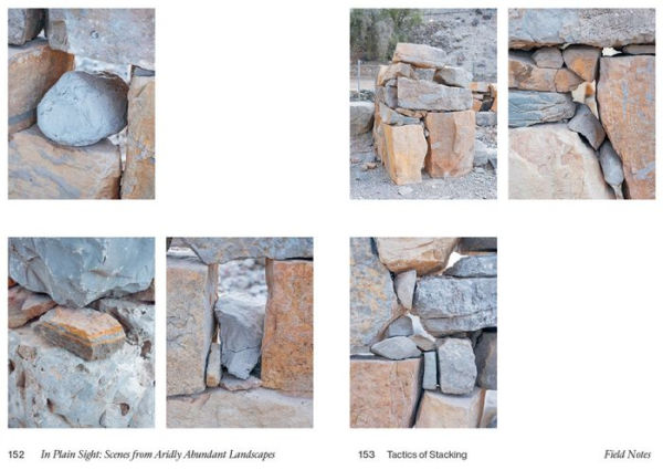 In Plain Sight: Scenes from Aridly Abundant Landscapes