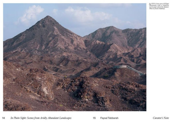 In Plain Sight: Scenes from Aridly Abundant Landscapes