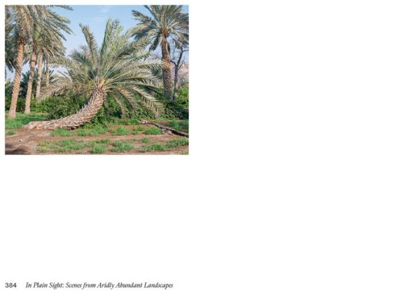 In Plain Sight: Scenes from Aridly Abundant Landscapes