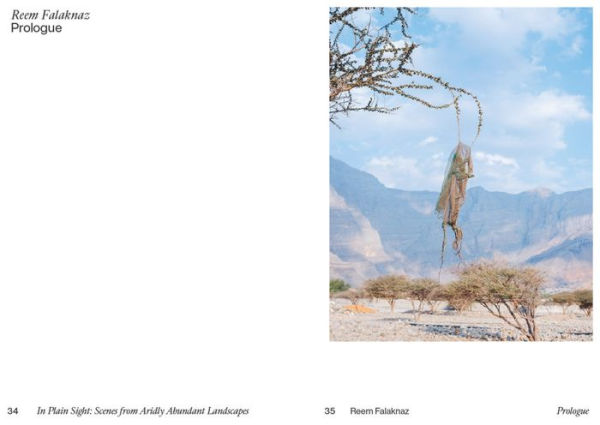 In Plain Sight: Scenes from Aridly Abundant Landscapes