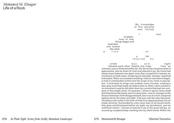 In Plain Sight: Scenes from Aridly Abundant Landscapes