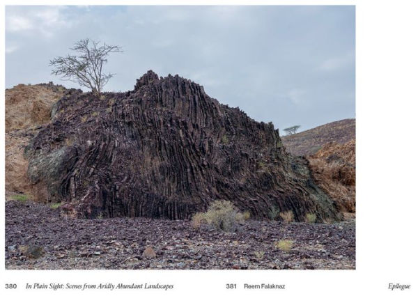 In Plain Sight: Scenes from Aridly Abundant Landscapes