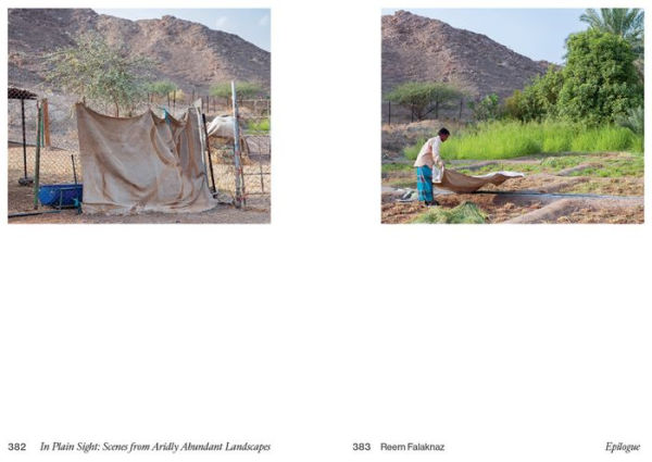 In Plain Sight: Scenes from Aridly Abundant Landscapes