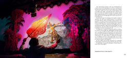 Alternative view 6 of A Life in Shadows: Shadow theatre in South East Asia
