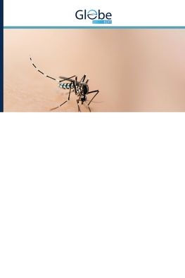 ??????????? ??????? ????? ????? Aedes aegypti