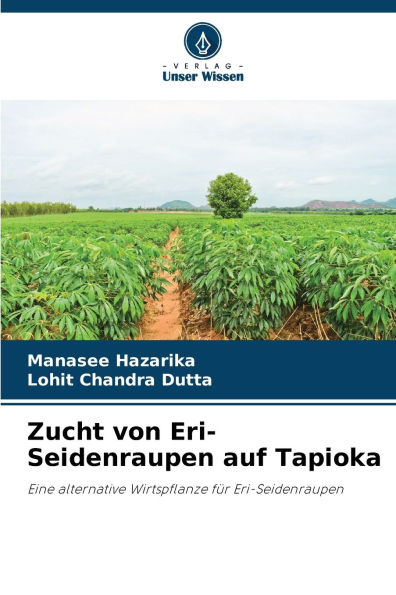 Zucht von Eri-Seidenraupen auf Tapioka