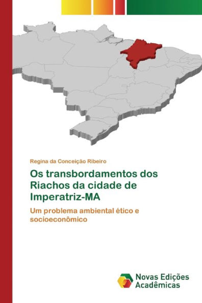 Os transbordamentos dos Riachos da cidade de Imperatriz-MA