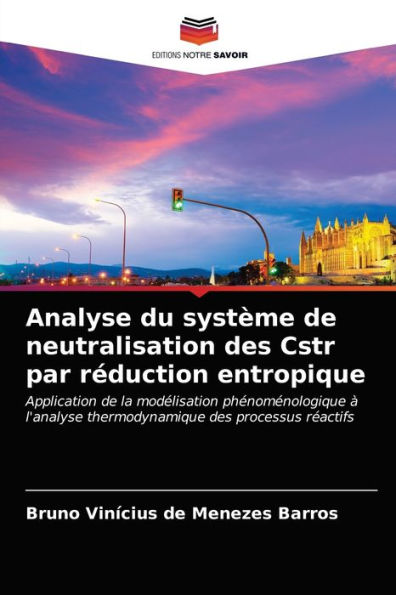 Analyse du système de neutralisation des Cstr par réduction entropique