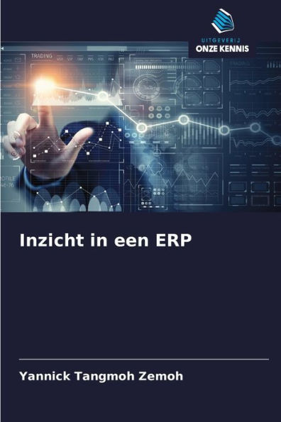 Inzicht in een ERP