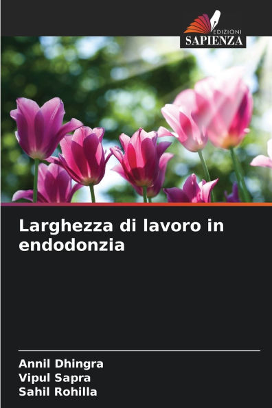 Larghezza di lavoro in endodonzia