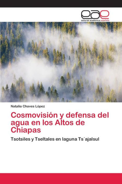 Cosmovisión y defensa del agua en los Altos de Chiapas
