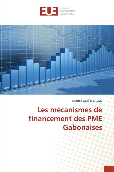 Les mÃ¯Â¿Â½canismes de financement des PME Gabonaises