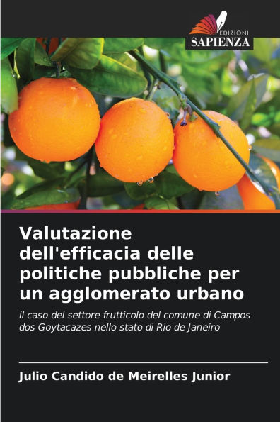 Valutazione dell'efficacia delle politiche pubbliche per un agglomerato urbano
