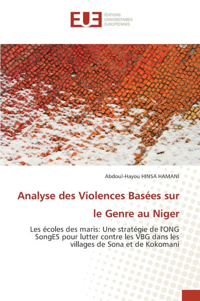 Analyse des Violences Basï¿½es sur le Genre au Niger
