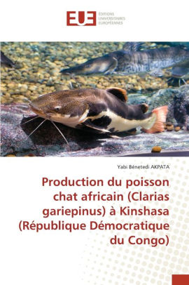 Production Du Poisson Chat Africain Clarias Gariepinus A Kinshasa Republique Democratique Du Congo By Yabi Benetedi Akpata Paperback Barnes Noble