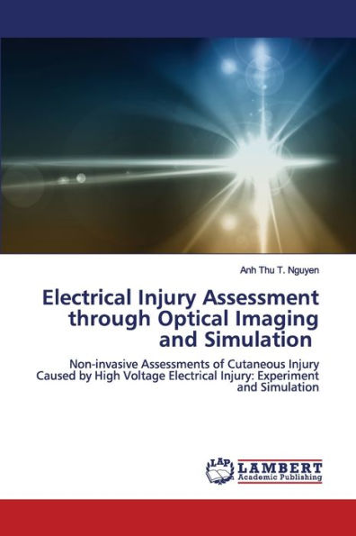 Electrical Injury Assessment through Optical Imaging and Simulation