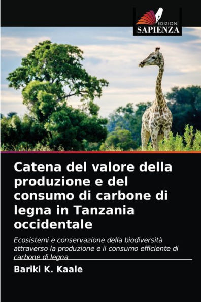 Catena del valore della produzione e del consumo di carbone di legna in Tanzania occidentale