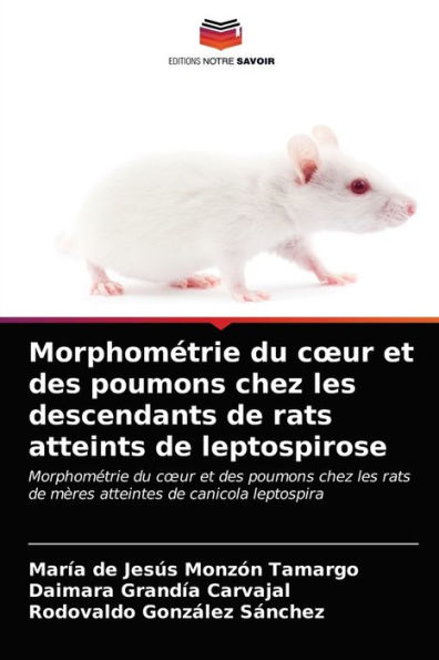 Morphométrie du cour et des poumons chez les descendants de rats atteints de leptospirose