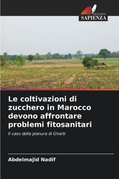 Le coltivazioni di zucchero in Marocco devono affrontare problemi fitosanitari