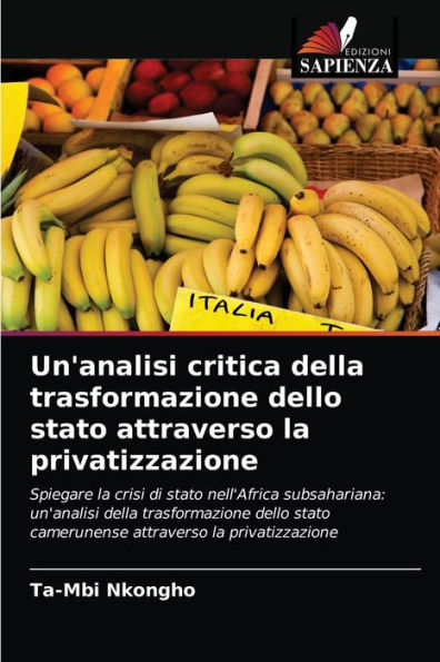 Un'analisi critica della trasformazione dello stato attraverso la privatizzazione