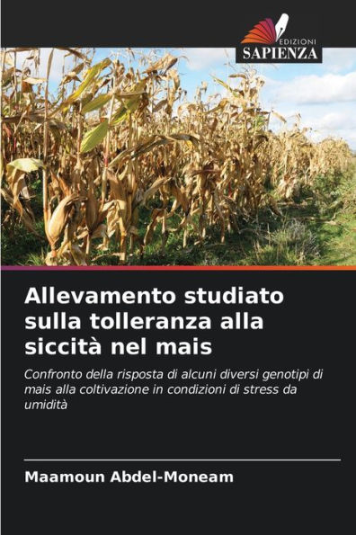 Allevamento studiato sulla tolleranza alla siccità nel mais