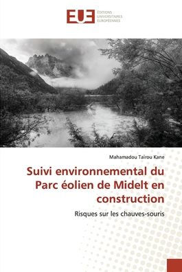 Suivi environnemental du Parc éolien de Midelt en construction