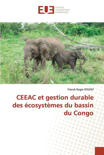 CEEAC et gestion durable des écosystèmes du bassin du Congo