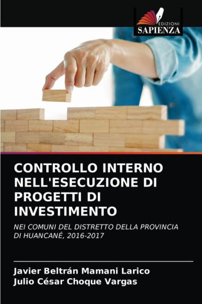 CONTROLLO INTERNO NELL'ESECUZIONE DI PROGETTI DI INVESTIMENTO