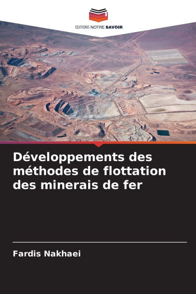 Dï¿½veloppements des mï¿½thodes de flottation des minerais de fer
