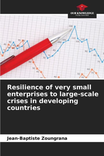Resilience of very small enterprises to large-scale crises in developing countries