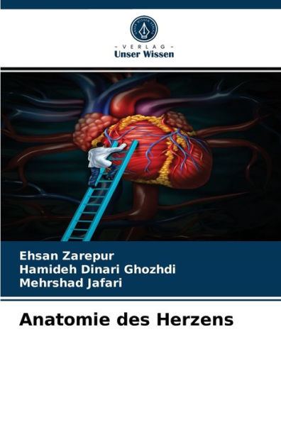 Anatomie des Herzens